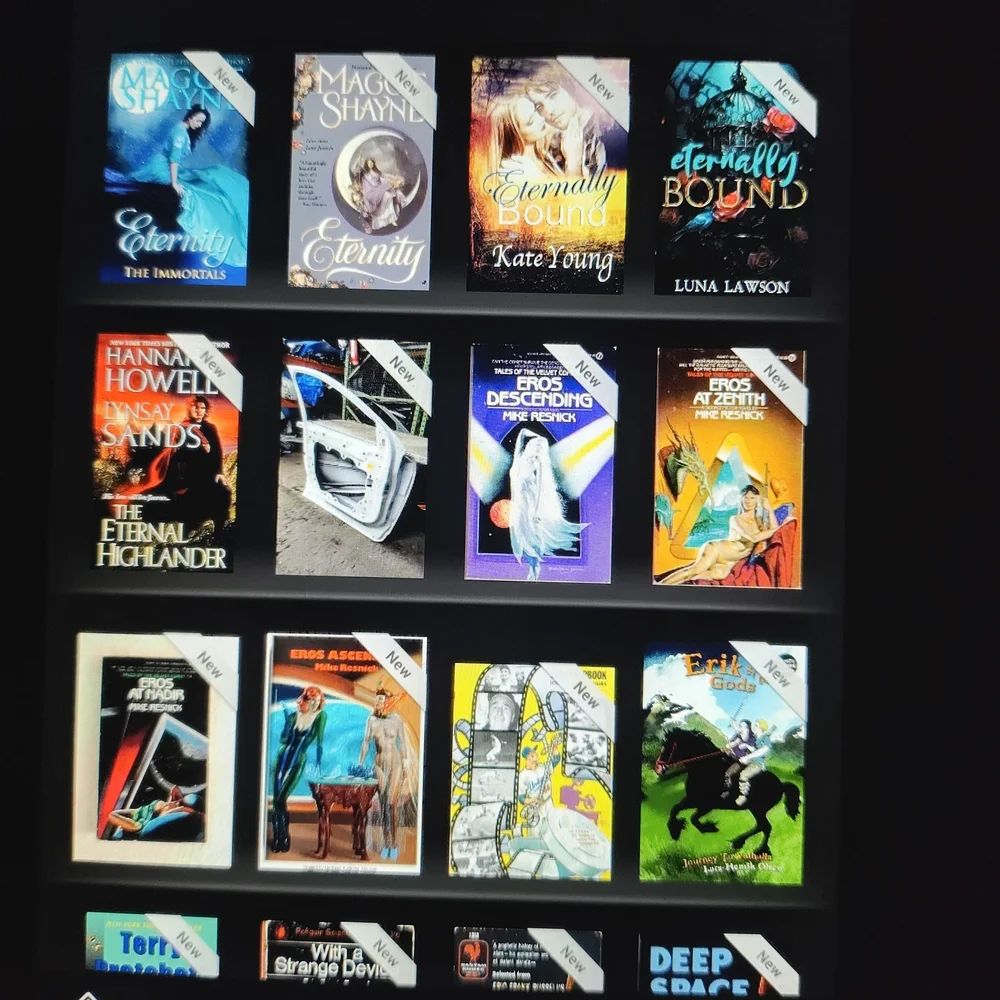 Kindle Loaded With Over 10,000 Books. Over 20 Years Worth!!!!